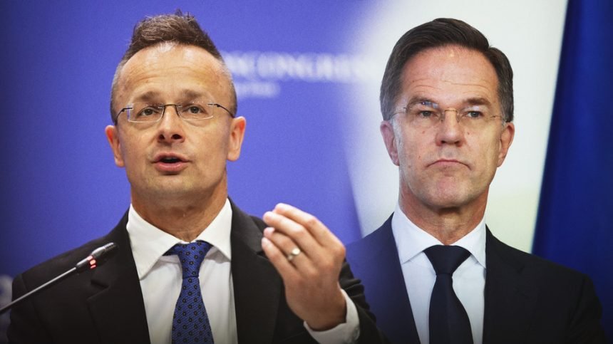 ‘Backstabbing’ NATO chief ‘fueling war’