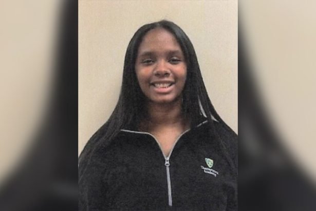 Missing Person Destiny Rojas from the 9th District