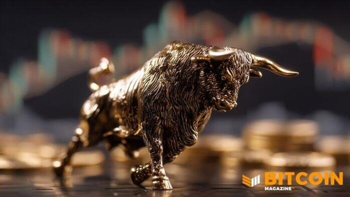 Bitcoin’s Ownership Base Is Maturing, Reducing Reliance On Retail: Analysts