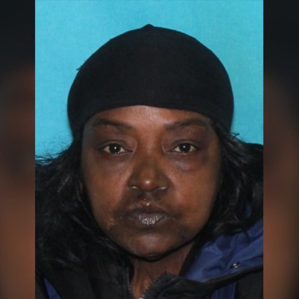 Missing Person Camille Randall from the 39th District Missing Person Camille Randall from the 39th District