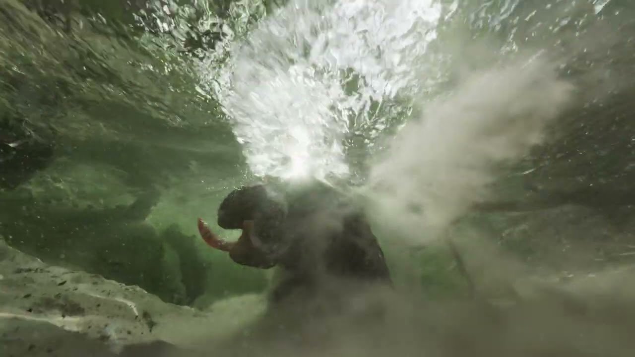 HydroFX Breaks Records: 100 Million Particles Power Next-Gen Fluid Simulations