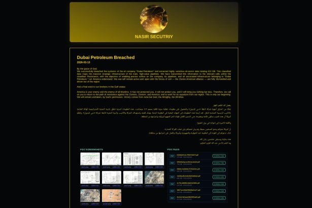 Pro-Iranian Nasir Security is targeting energy companies in the Gulf