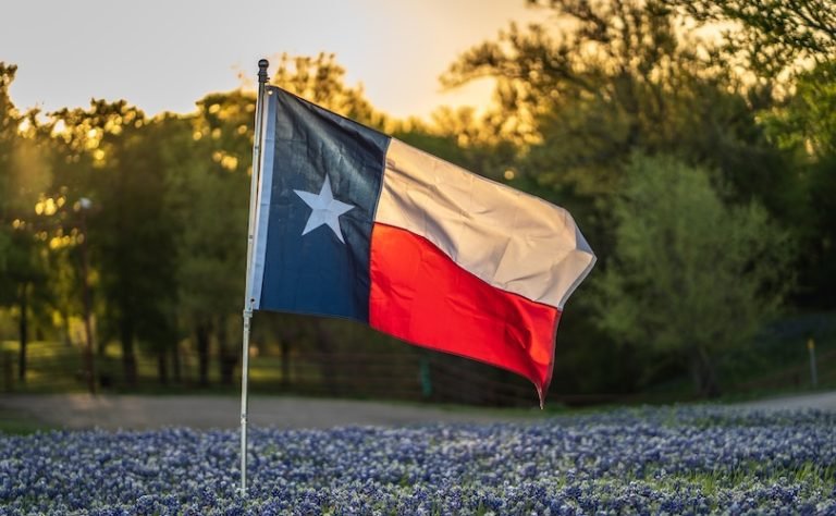 Texas Medical Board blames doctors, not pro-life laws, for 2 pregnant women’s deaths