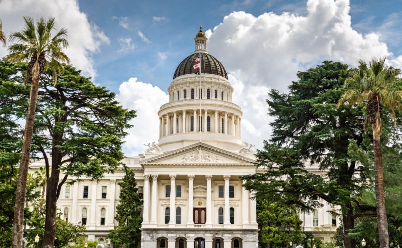 Young detransitioner speaks out against California bill protecting ‘doctors who butchered me’ Young detransitioner speaks out against California bill protecting ‘doctors who butchered me’