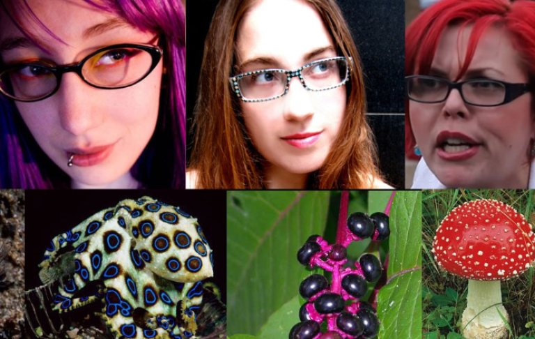 Biological Signaling in the Modern Era: Understanding the Mechanics of Aposematism