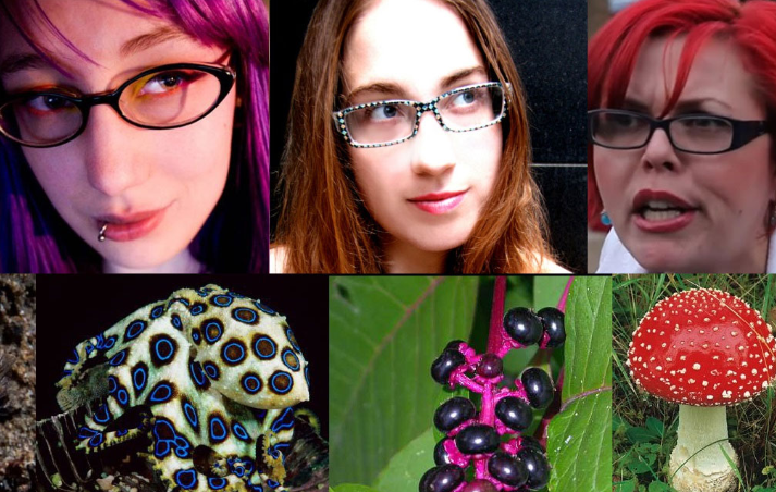 Biological Signaling in the Modern Era: Understanding the Mechanics of Aposematism