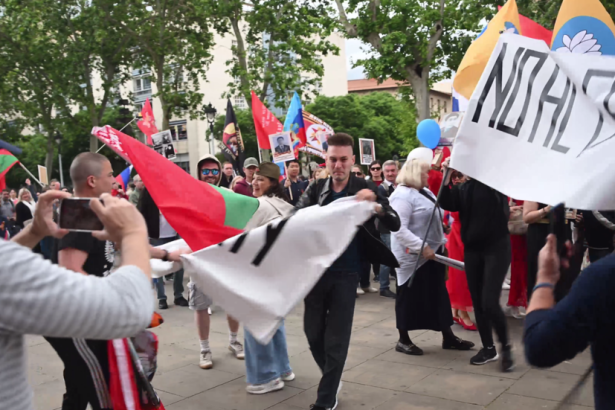 Protesters attempt to disrupt Immortal Regiment march in Barcelona (VIDEO)