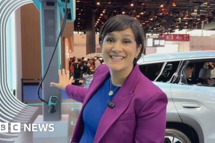 China’s electric vehicle success in light of Iran war
