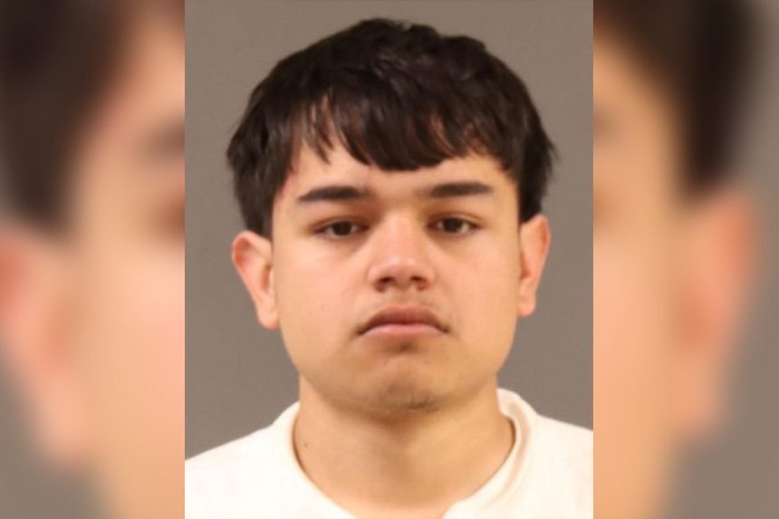 Wanted: Suspects for Robbery/Sexual Assault in the 9th District