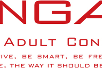 Japanese sex toys maker Tenga discloses data breach
