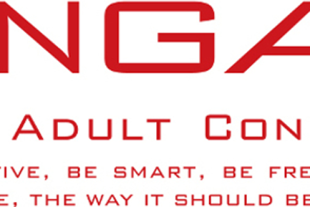 Japanese sex toys maker Tenga discloses data breach
