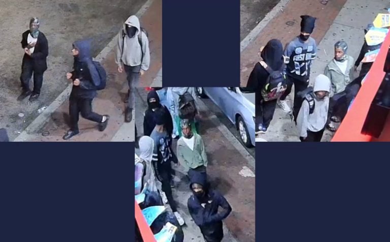 Wanted: Suspects for Attempted Robbery in the 22nd District [VIDEO]