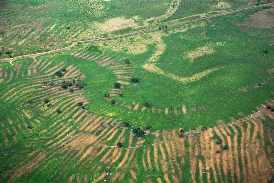 Aerial view of terraced agricultural fields with many long, straight, parallel brown patches.