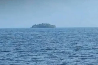 A Forested Island the Size of Two Football Fields Appeared Out of Nowhere in Canada. Then It Mysteriously Vanished