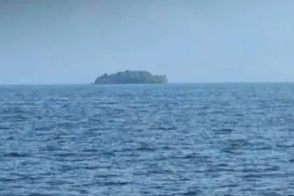 A Forested Island the Size of Two Football Fields Appeared Out of Nowhere in Canada. Then It Mysteriously Vanished