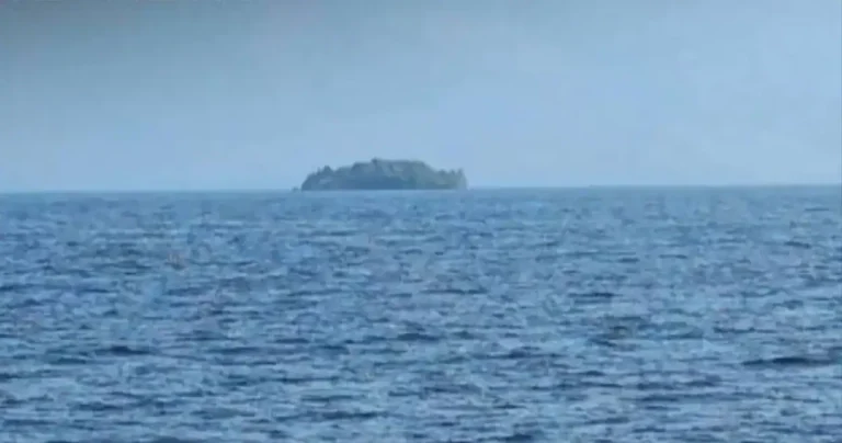 A Forested Island the Size of Two Football Fields Appeared Out of Nowhere in Canada. Then It Mysteriously Vanished