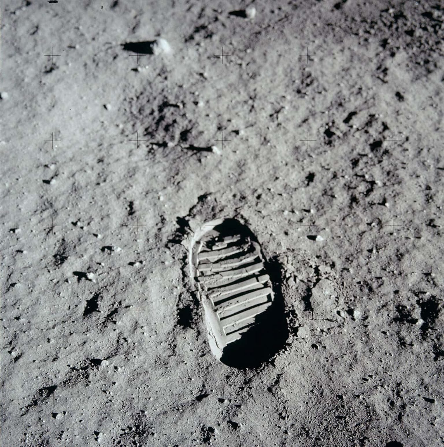 Earth Microbes Could Survive on the Moon’s Poles for Weeks and NASA Scientists Are Worried