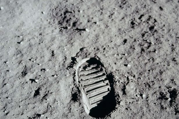Earth Microbes Could Survive on the Moon’s Poles for Weeks and NASA Scientists Are Worried