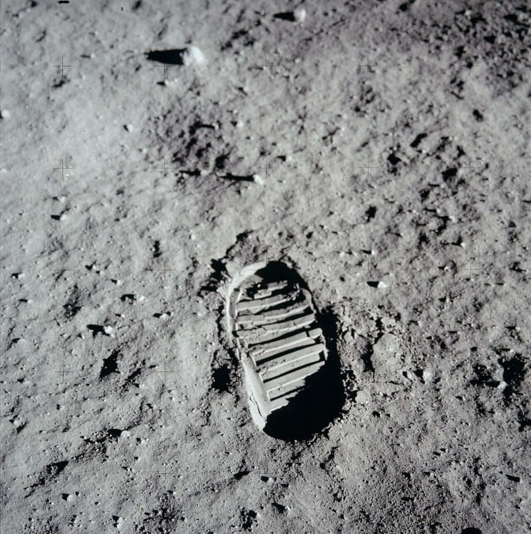 Earth Microbes Could Survive on the Moon’s Poles for Weeks and NASA Scientists Are Worried