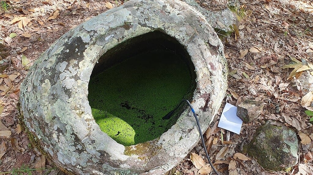 Ancient Burial Jars in Laos Have Been Running a 2,000-Year Natural Experiment 2 Close photo of ancient stone burial jar filled with mossy water
