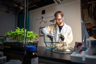 Scientists Made Tobacco and Lettuce Produce a Meat Protein That Could Make Fake Meat Taste More Real