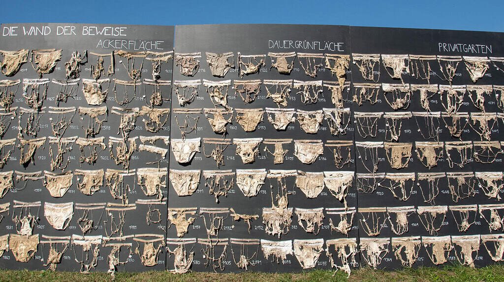 Image showing many decomposed cotton underwear from different locations pinned to a black board numbered and labeled