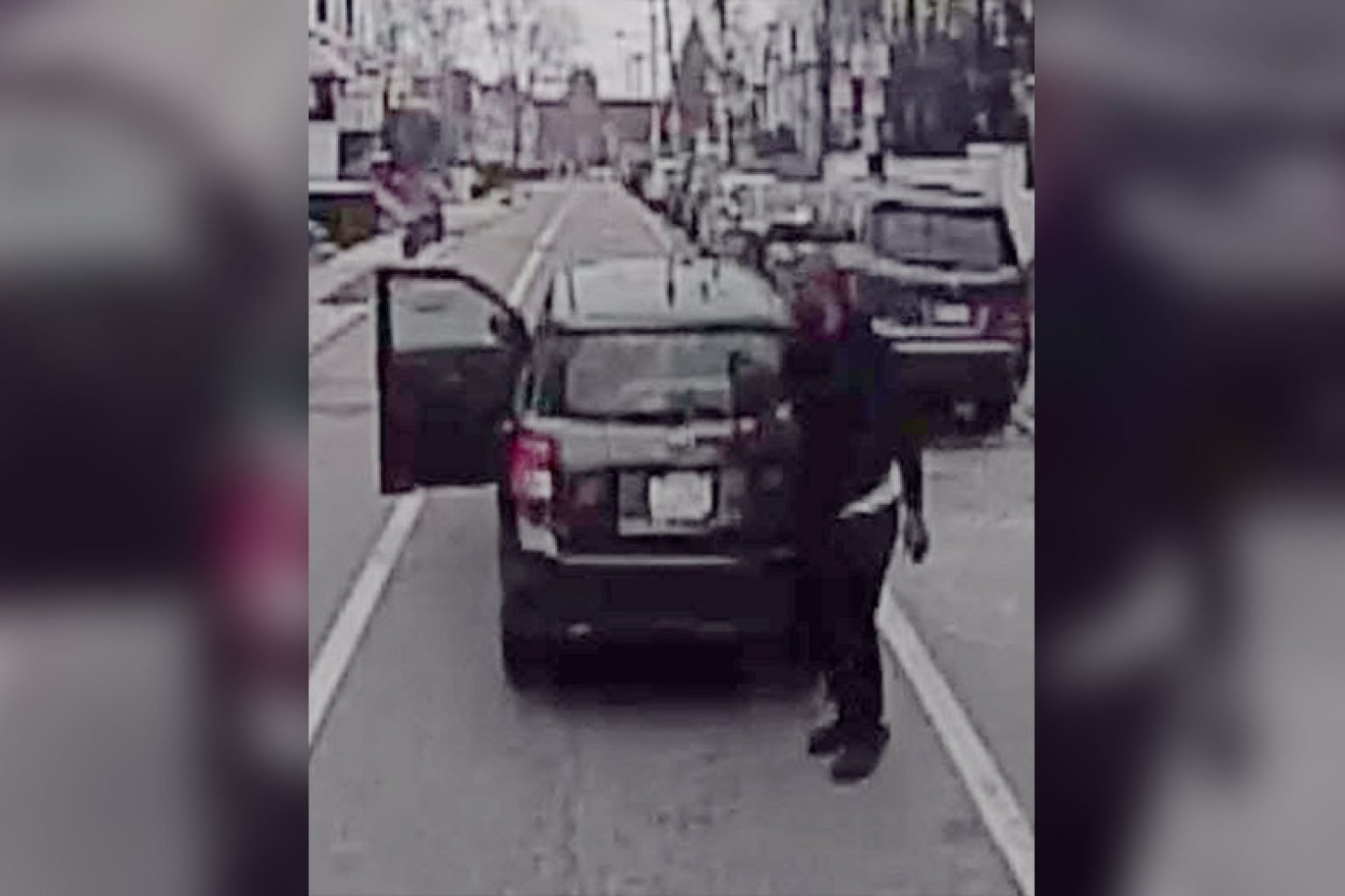 Wanted: Suspect for Theft of a Dog in the 35th District [UPDATE]