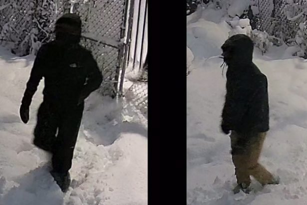Wanted: Suspects for Commercial Burglary in the 12th District [VIDEO]