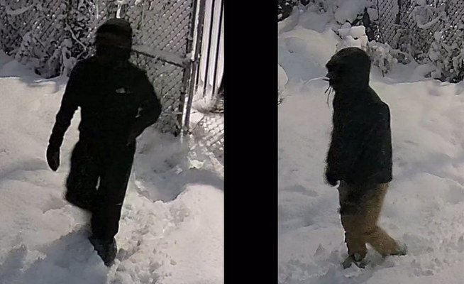 Wanted: Suspects for Commercial Burglary in the 12th District [VIDEO]