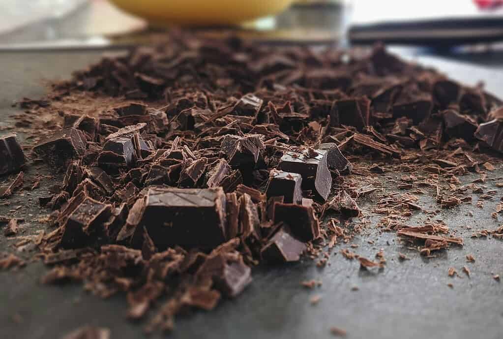 Simply Sniffing Dark Chocolate Helped Men Squeeze Out 18 More Reps in the Gym During Leg Day | Philly PI