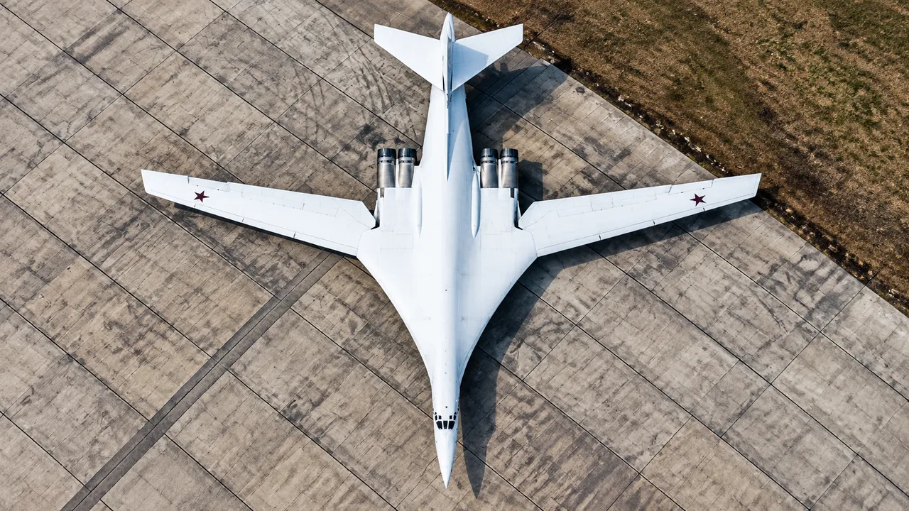 Why did the variable-sweep wing survive on large aircraft? | Philly PI