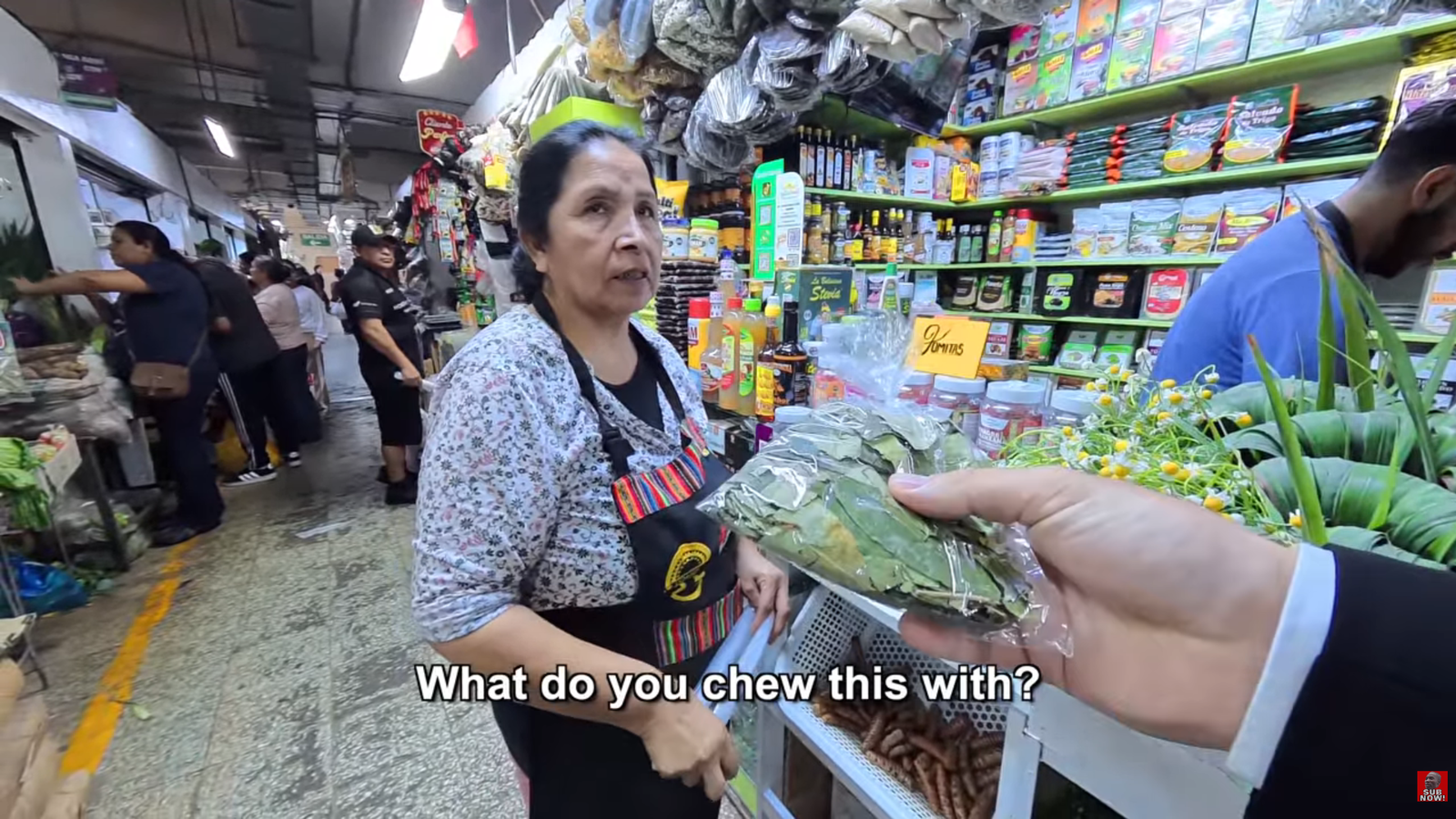 Inside Lima: A Street-Level Exploration of Peru’s Capital, From Cocoa Leaves to Callao | Philly PI