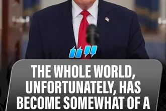 What Comes After The 'Stone Age' Rally? More AI, More Grift, More Degenerate Economy. | Philly PI