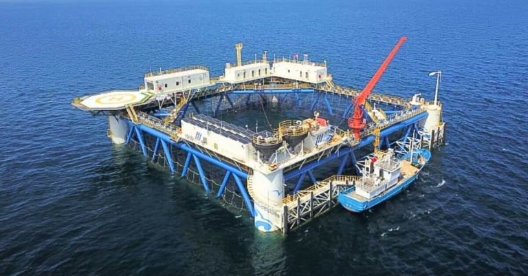 China’s First Bamboo Offshore Solar Platform Could Change How We Build for Energy at Sea