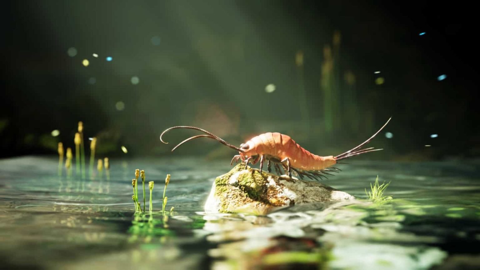 Insects Have Six Legs. But This 324-Million-Year-Old Insect Had 24 Legs and a Body Unlike Anything Alive Today