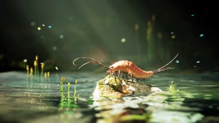 Insects Have Six Legs. But This 324-Million-Year-Old Insect Had 24 Legs and a Body Unlike Anything Alive Today