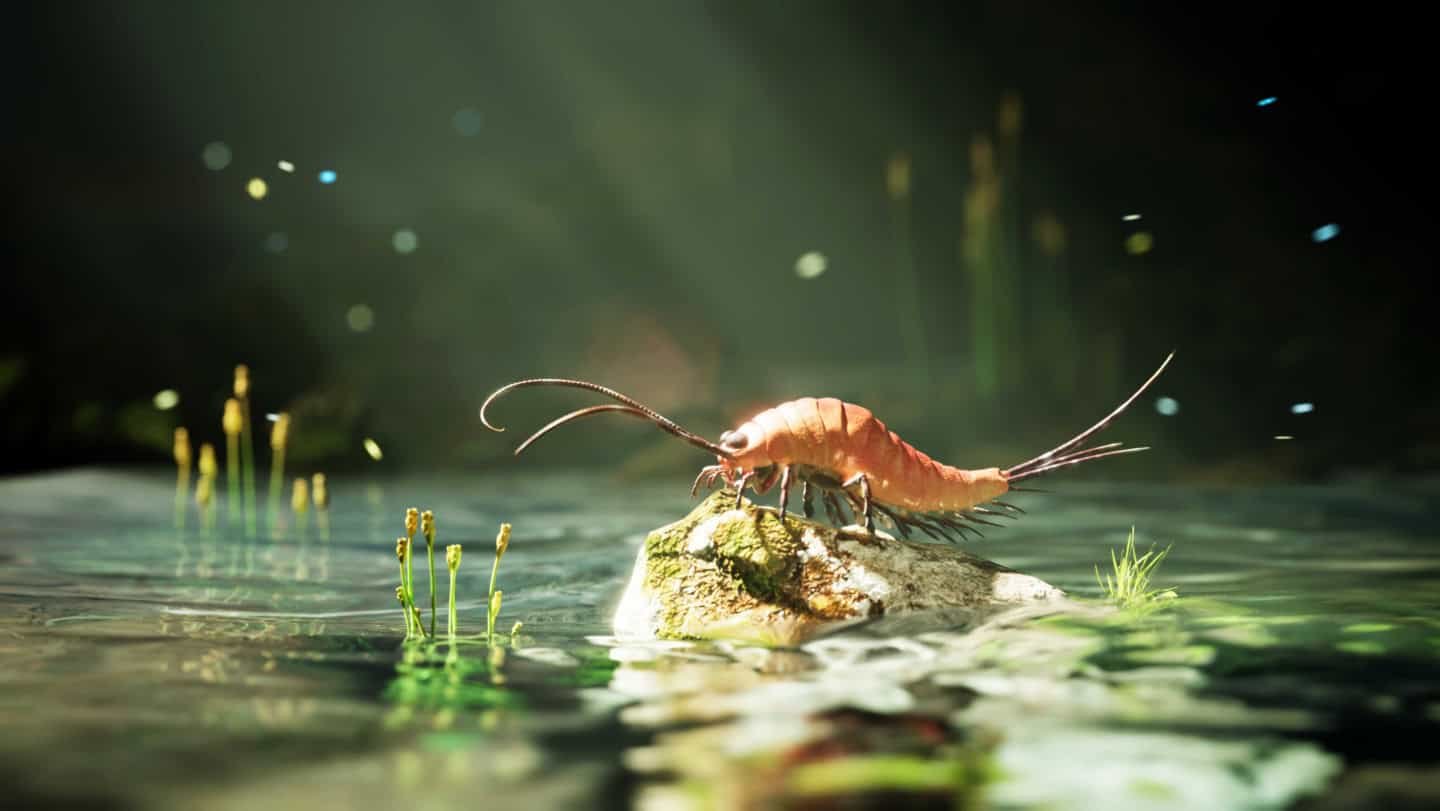 Insects Have Six Legs. But This 324-Million-Year-Old Insect Had 24 Legs and a Body Unlike Anything Alive Today