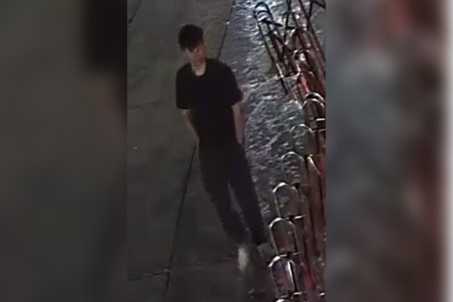 Wanted: Suspect for Vandalism in the 5th District [VIDEO]