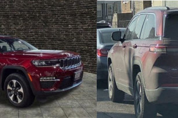 Wanted: Suspect for Fatal Hit and Run in the 19th District