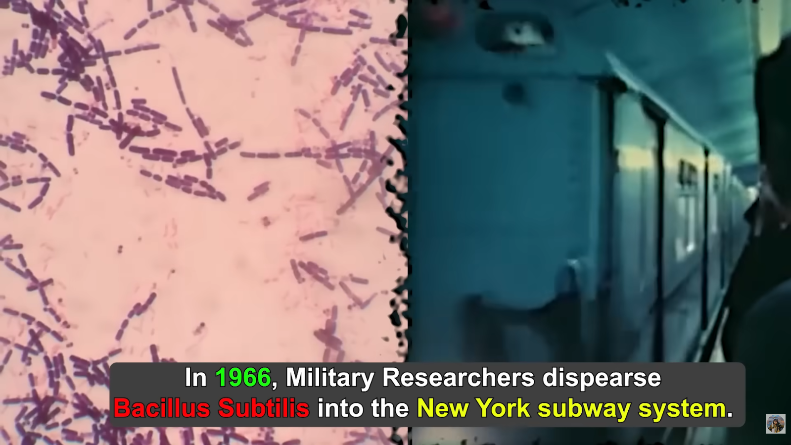 SHADOW WAR ON AMERICAN SOIL: How the U.S. Navy Secretly Sprayed Live Bacteria Over 800,000 Unsuspecting Citizens | Philly PI