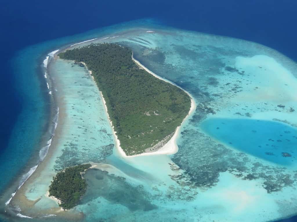 Scientists found 149 new deep-sea species — and a 22-million-year shark-tooth graveyard | Philly PI